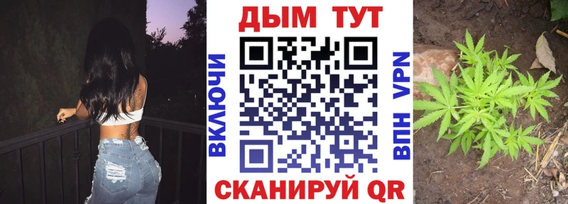 Наркота Зубцов Амфетамин Конопля СОЛЬ Кодеин Гашиш Меф