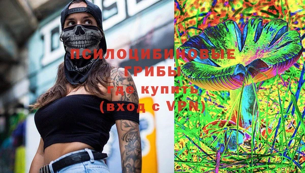 прущий лед Алзамай
