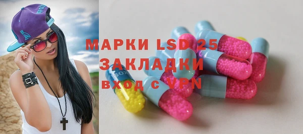 индика Абинск