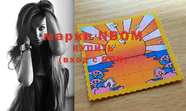 индика Абинск