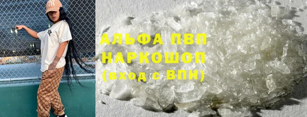 индика Абинск