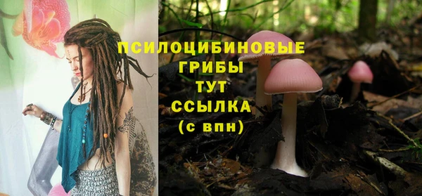 дурь Абаза