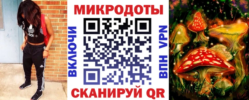 Галлюциногенные грибы мицелий  Зубцов 